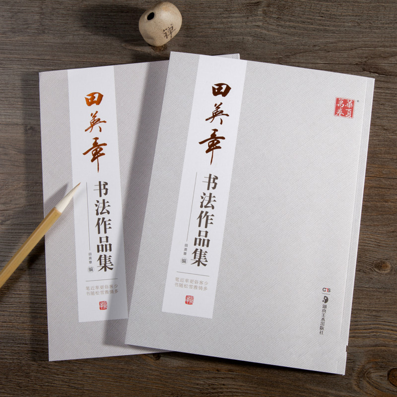 Ouyang Xun Pinsel Kalligraphie – Chinese Calligraphy Practice Book Bewertung und Preis