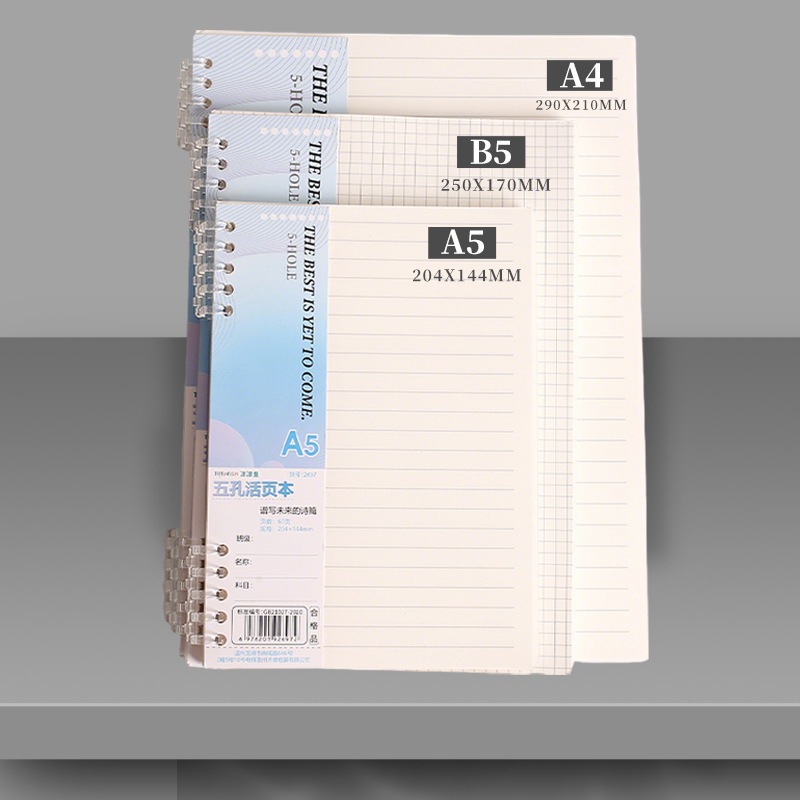 A4 B5 A5 Loseblatt-Notizbuch-N – A5 Spiral Dotted Grid Notebook Bewertung und Preis