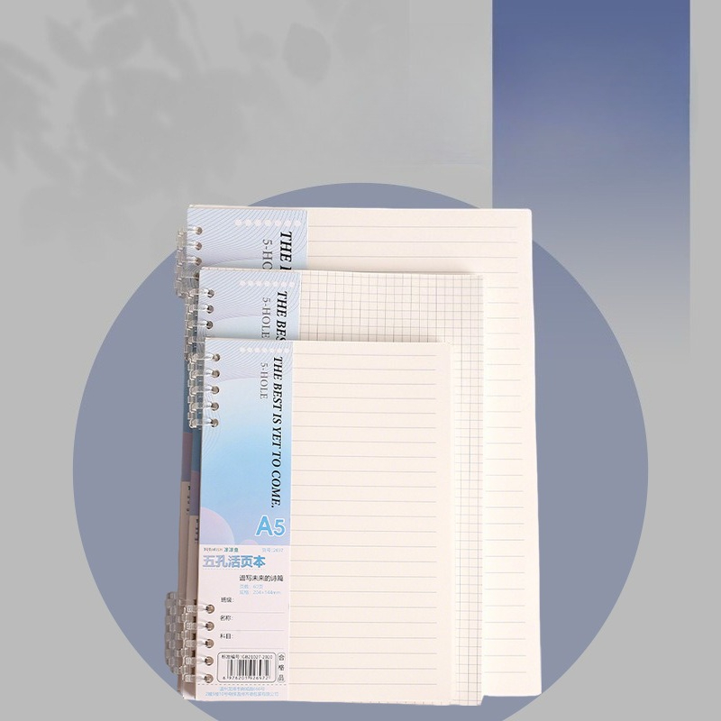 A4 B5 A5 Loseblatt-Notizbuch-N – A5 Spiral Dotted Grid Notebook Bewertung und Preis